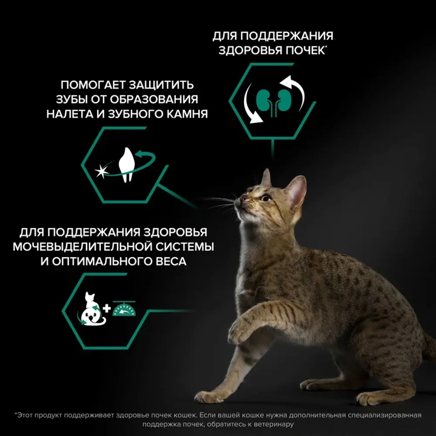 Сухой корм PRO PLAN Chicken для стерилизованных кошек и кастрированных котов старше 1 года, с высоким содержанием курицы, 10 кг фото 3
