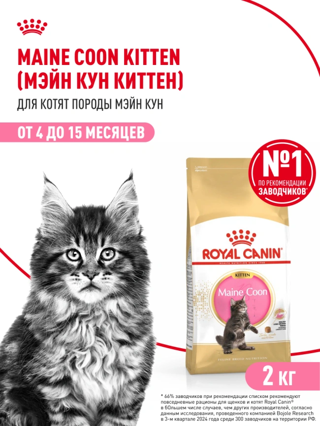 Сухой корм Royal Canin Kitten Maine Coon для котят, 2 кг фото 15