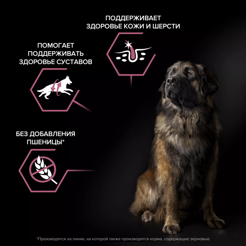 Сухой корм PRO PLAN Salmon для взрослых собак крупных пород с атлетическим телосложением с чувствительной кожей, с высоким содержанием лосося, 14 кг фото 2