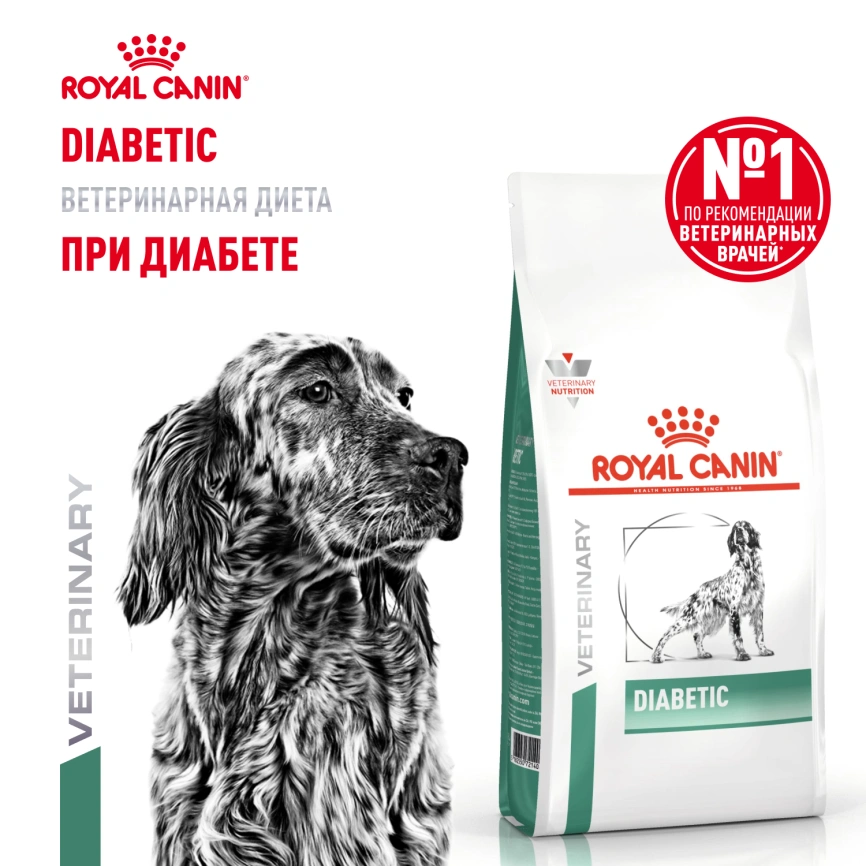 Сухой корм Royal Canin Diabetic для собак, 12 кг фото 13