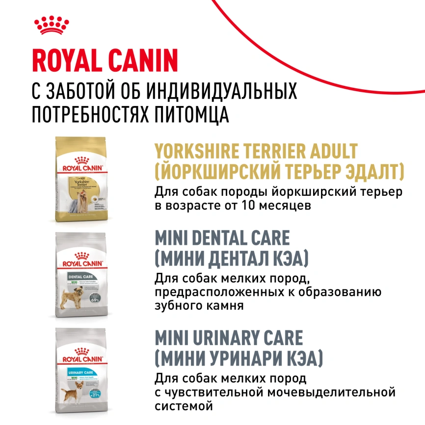 Сухой корм Royal Canin Yorkshire Terrier Adult 8+ для собак породы йоркширский терьер, 1.5 кг фото 11