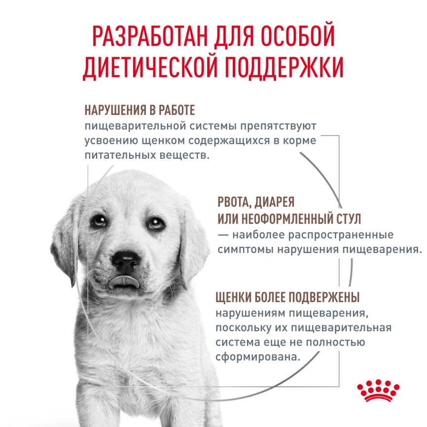 Сухой корм Royal Canin Gastrointestinal Puppy для щенков, 2.5 кг фото 8