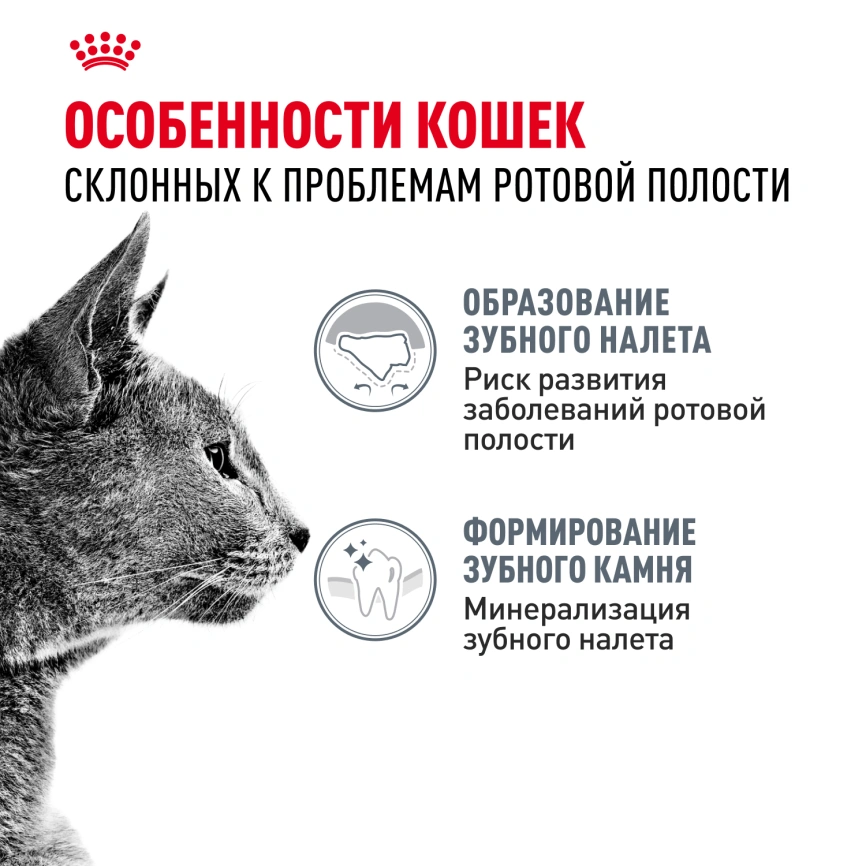 Сухой корм Royal Canin Dental Care для кошек, 1.5 кг фото 2