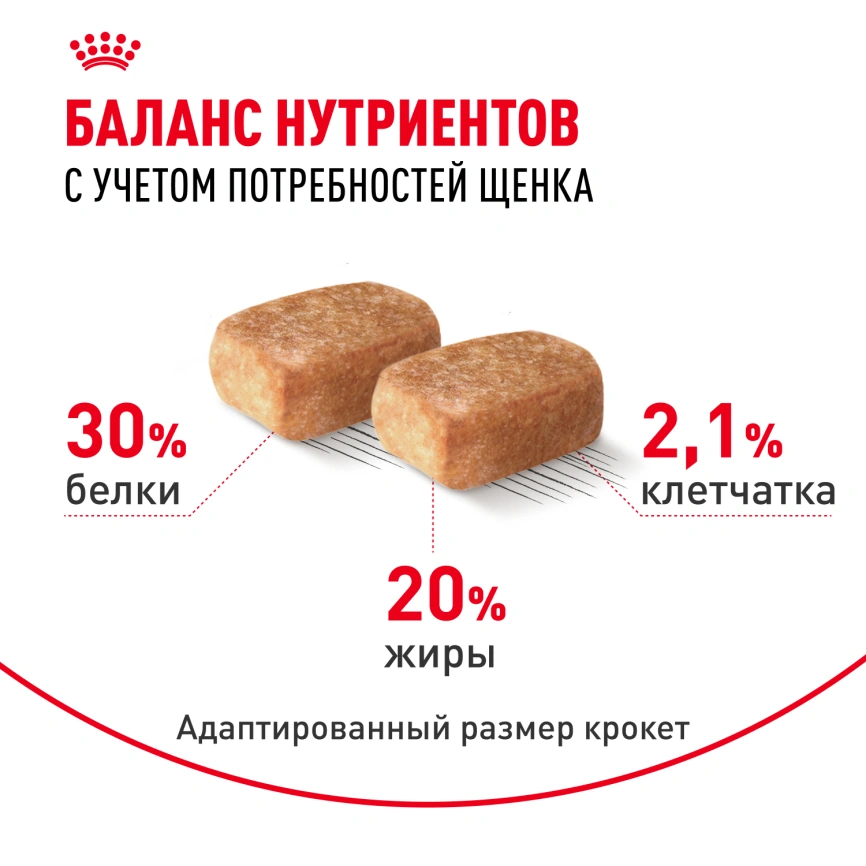 Сухой корм Royal Canin Chihuahua Puppy для щенков породы чихуахуа, 1.5 кг фото 4
