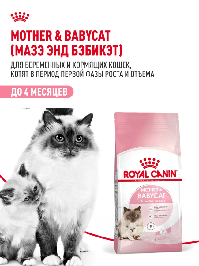 Сухой корм Royal Canin Mother & Babycat для котят, беременных и лактирующих кошек, 2 кг фото 13