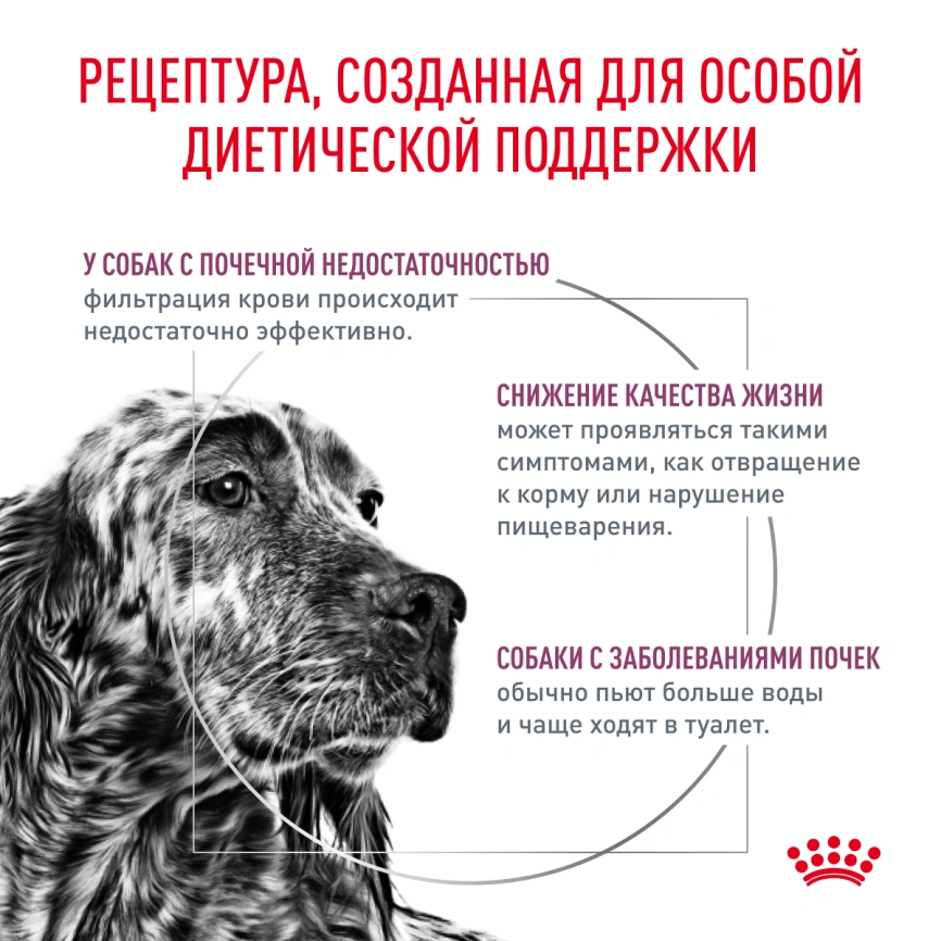 Сухой корм Royal Canin Renal для кошек при заболеваниях почек, 14 кг фото 2