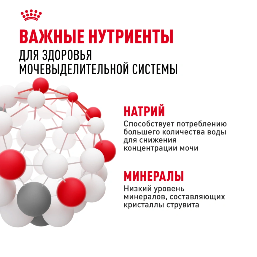 Сухой корм Royal Canin Mini Urinary Care для собак, 1 кг фото 5