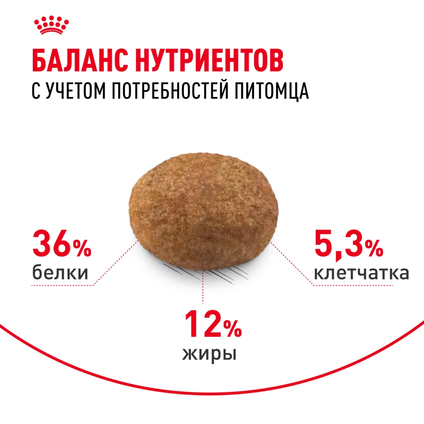 Сухой корм Royal Canin Sterilised 7+ для стерилизованных кошек и кастрированных котов, 400 г фото 4