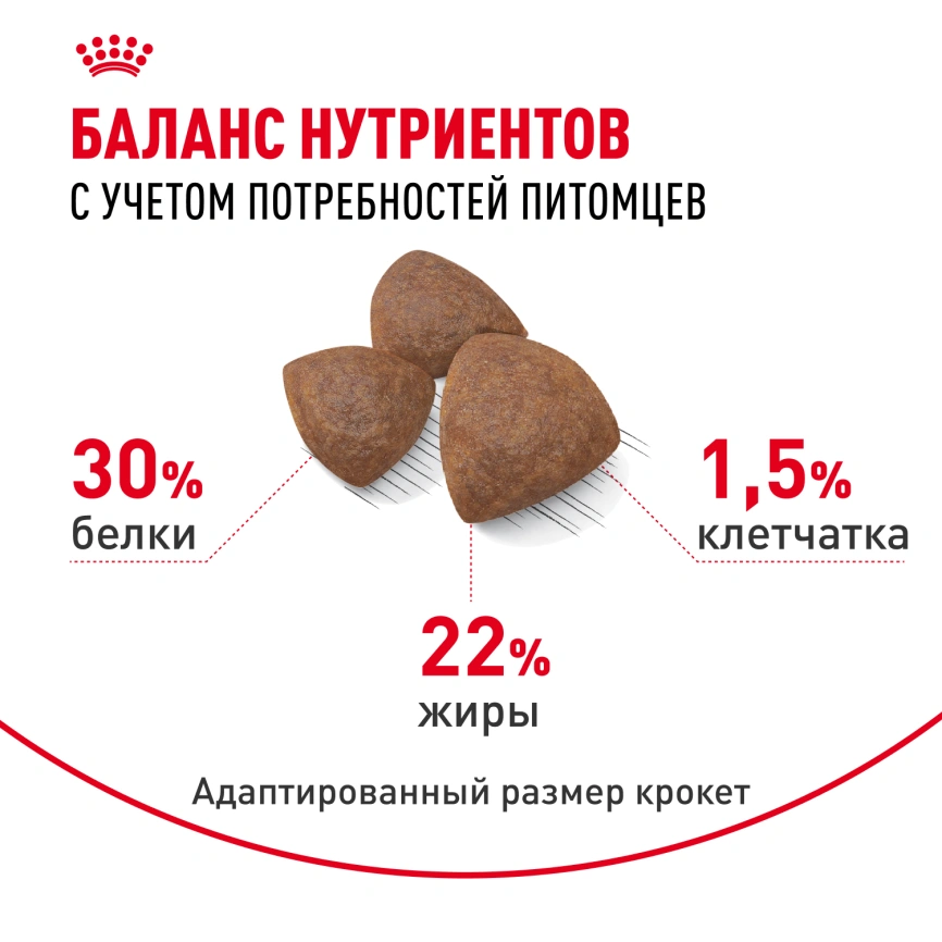 Сухой корм Royal Canin Medium Starter Mother & Babydog для щенков и кормящих сук, 4 кг фото 4
