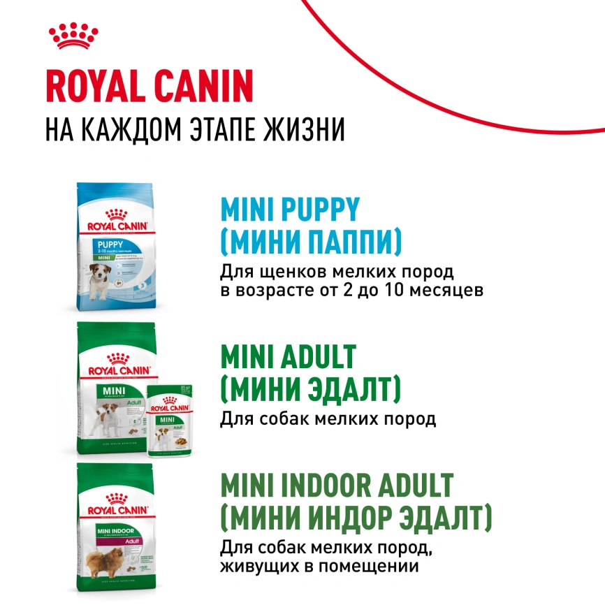 Сухой корм Royal Canin Mini Starter Mother & Babydog для щенков и кормящих сук, 8.5 кг фото 9