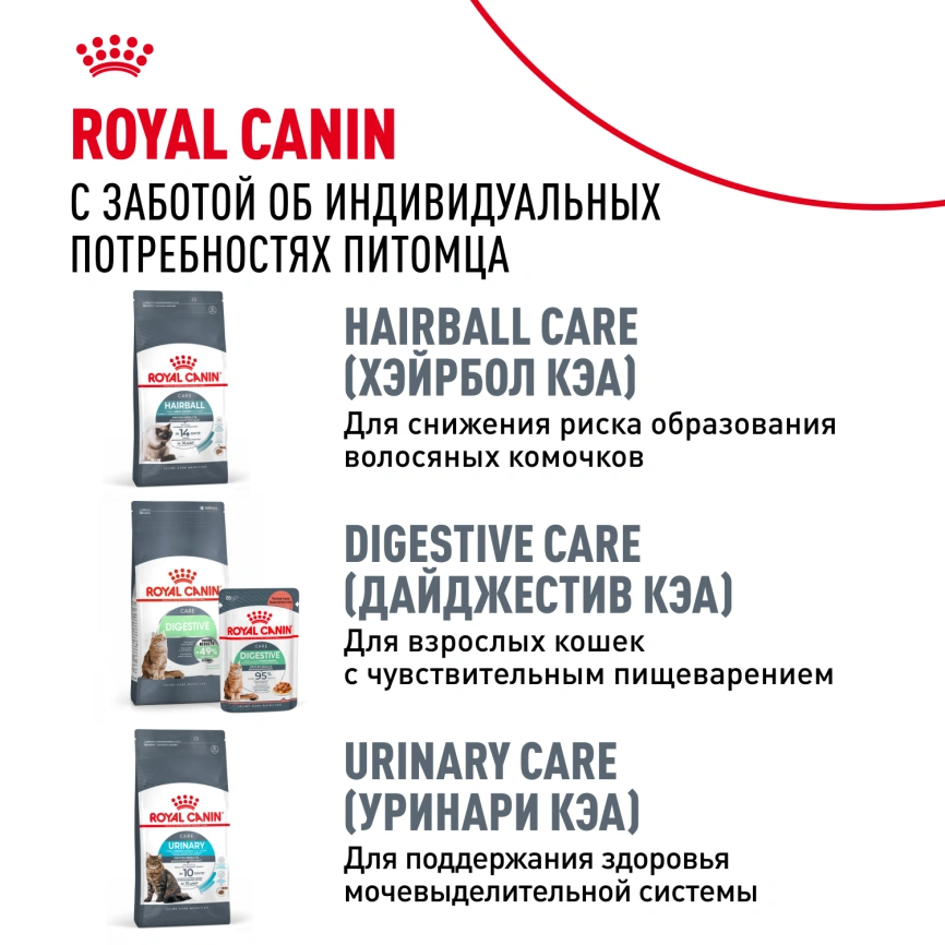 Сухой корм Royal Canin Hair & Skin Care для кошек, 10 кг фото 10