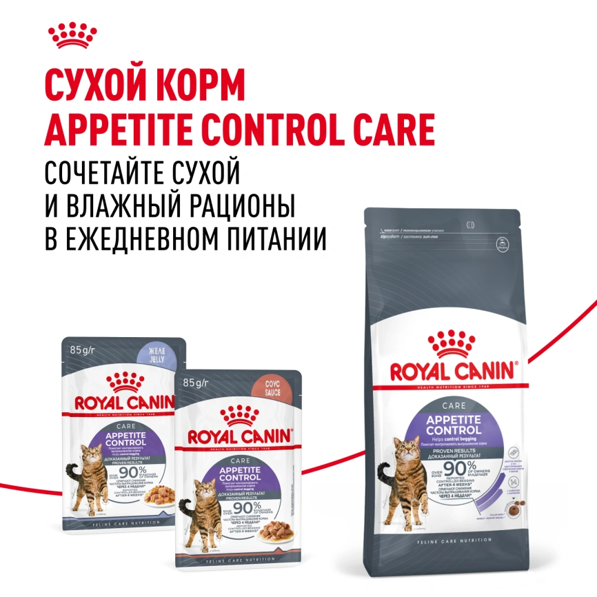 Влажный корм Royal Canin Appetite Control Care в желе для взрослых кошек, для контроля выпрашивания корма, пауч, 85 г фото 10