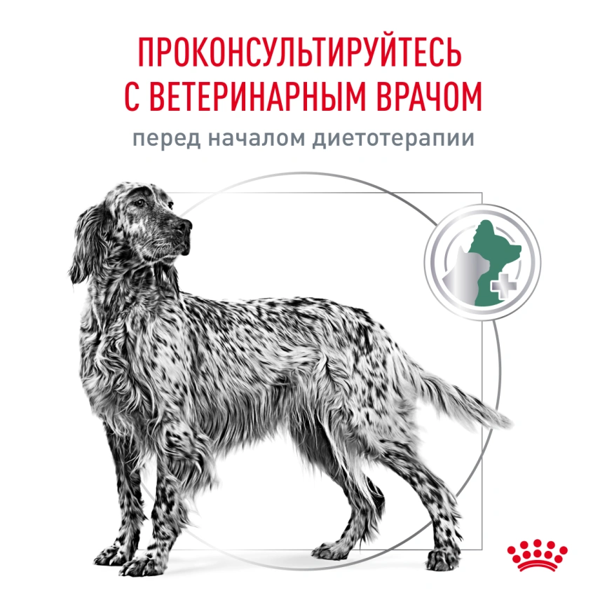 Сухой корм Royal Canin Maxi Joint Care для собак, 10 кг фото 7