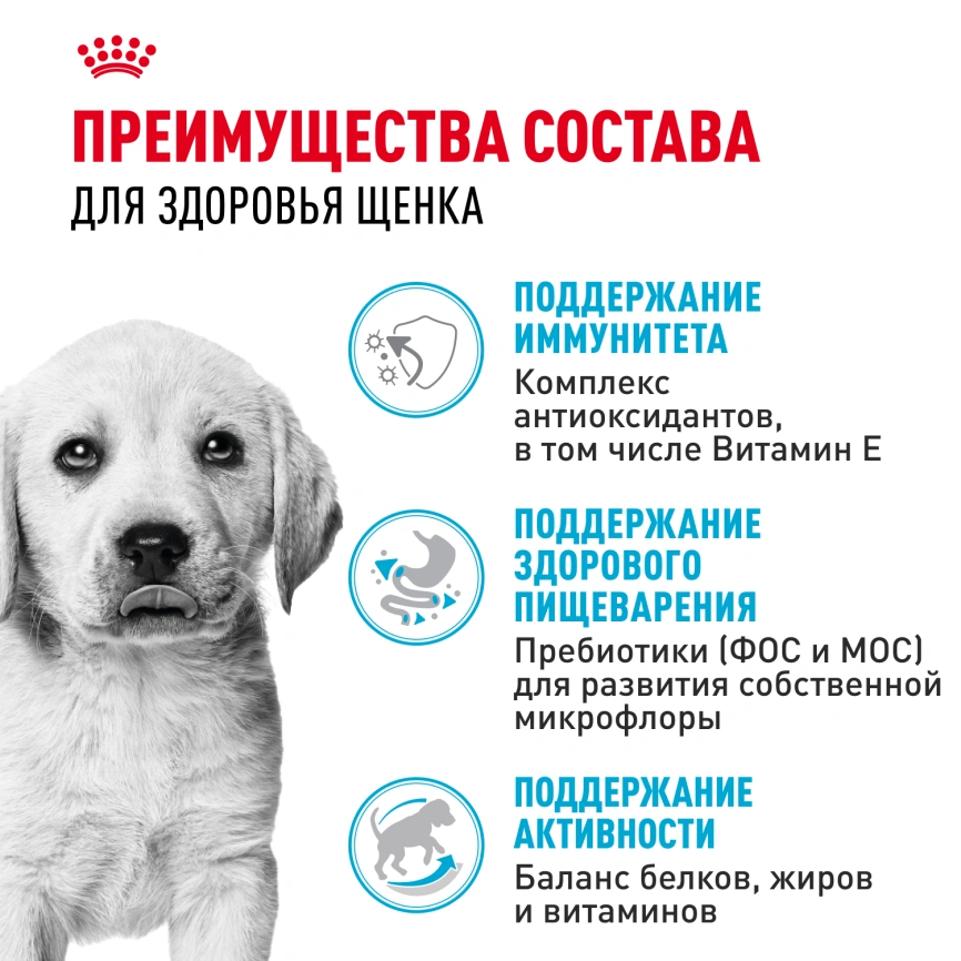 Сухой корм Royal Canin Labrador Retriever Puppy для щенков, 3 кг фото 3