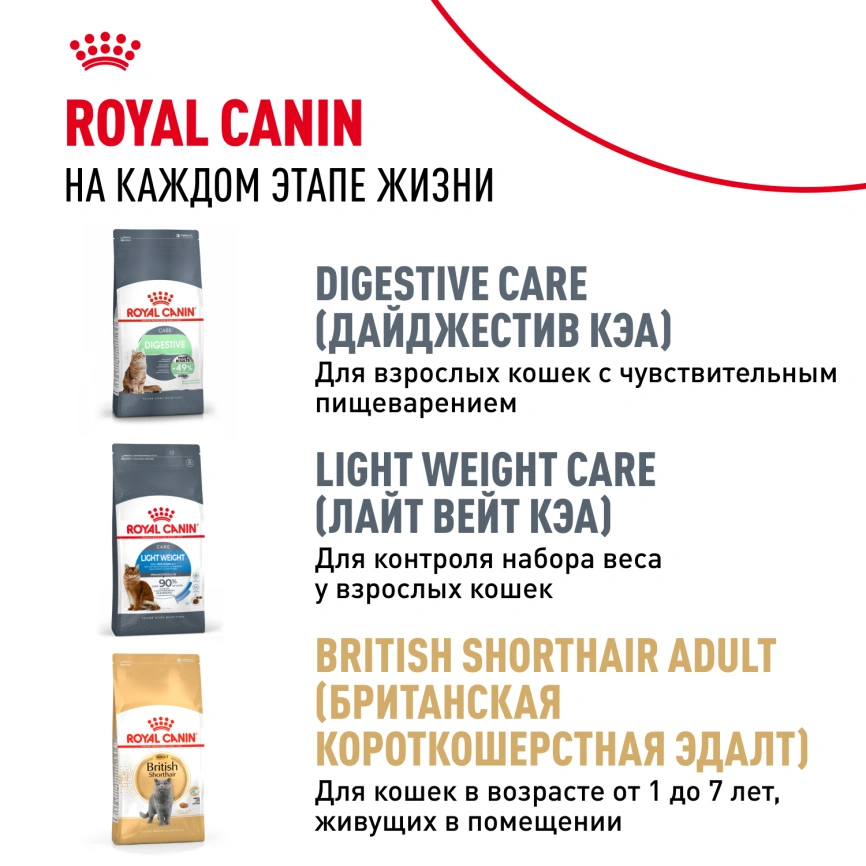 Сухой корм Royal Canin Kitten British Shorthair для котят, 2 кг фото 10