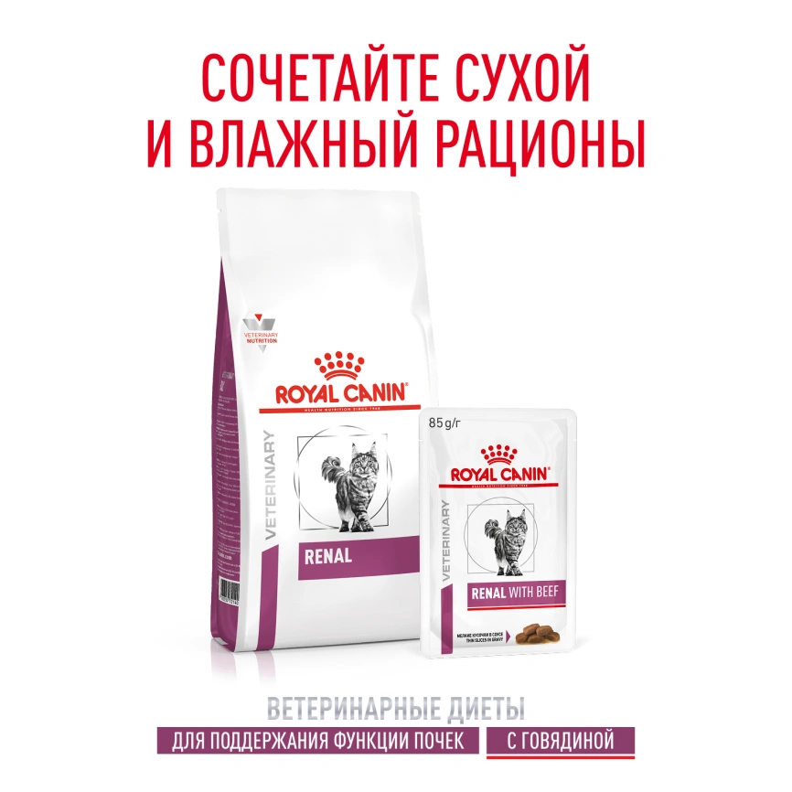 Влажный корм Royal Canin Renal with Beef в соусе для кошек при заболеваниях почек, с говядиной, пауч, 85 г фото 10