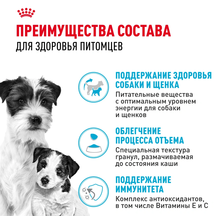 Сухой корм Royal Canin Mini Starter Mother & Babydog для щенков и кормящих сук, 3 кг фото 4