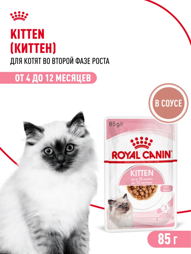 Влажный корм Royal Canin Kitten в соусе для котят до 12 месяцев, пауч, 85 г фото 24
