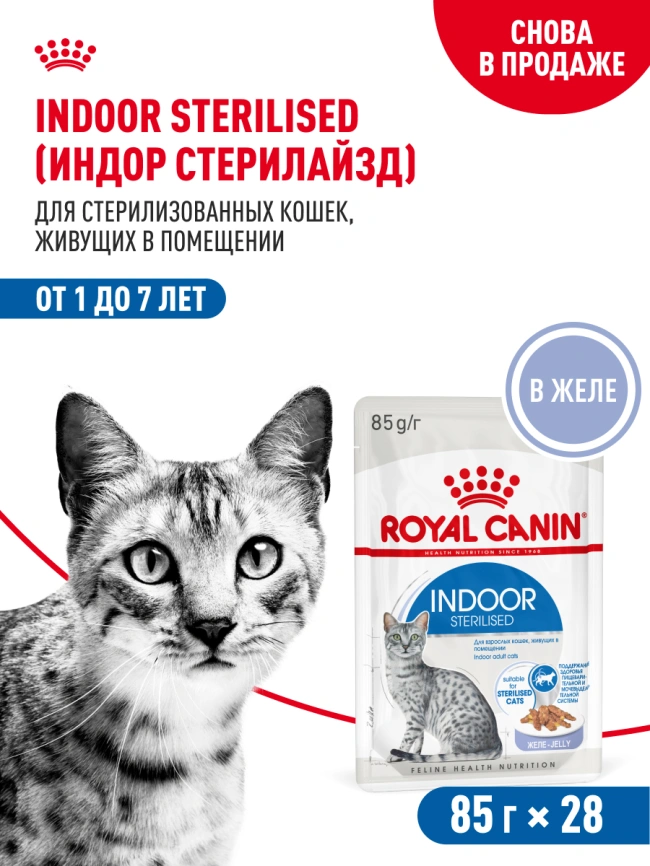 Влажный корм Royal Canin Indoor в желе для кошек, живущих в помещении, пауч, 85 г фото 17