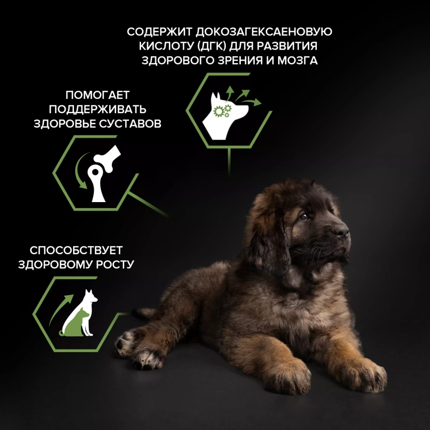 Сухой корм PRO PLAN Chicken для щенков крупных пород с мощным телосложением, с высоким содержанием курицы, 12 кг фото 2
