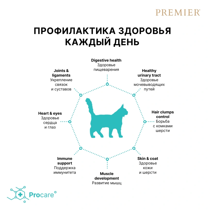 Сухой корм Premier Cat Lamb & Turkey Adult Large для взрослых кошек крупных пород, 400 г фото 4