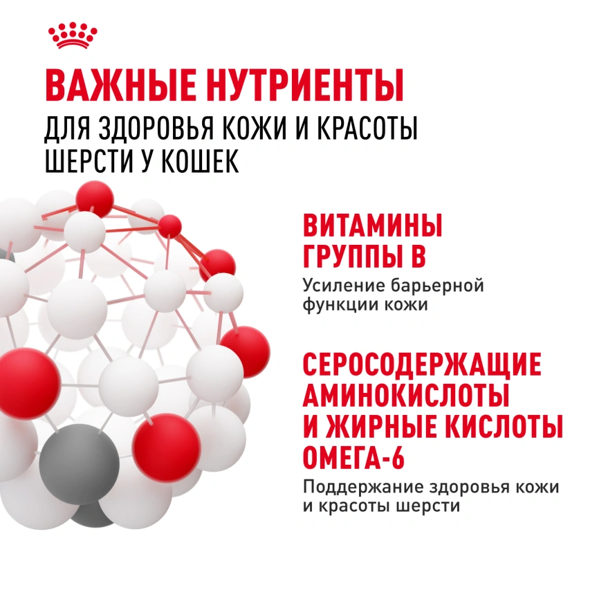 Влажный корм Royal Canin Hair & Skin Care в соусе для взрослых кошек старше 1 года, пауч, 85 г фото 6