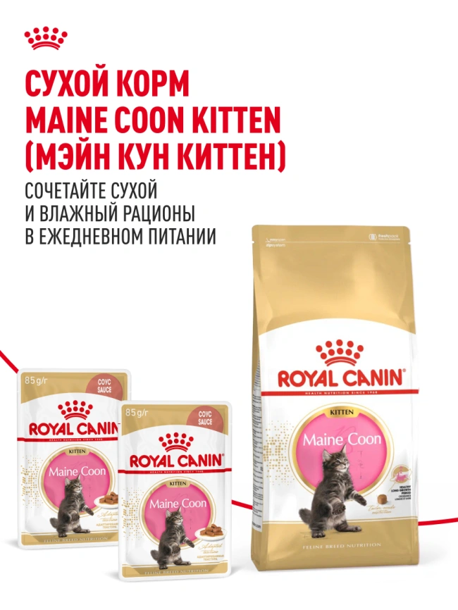Влажный корм Royal Canin Maine Coon Kitten в соусе для котят породы мейн-кун и других крупных пород старше 3 месяцев, пауч, 85 г фото 15