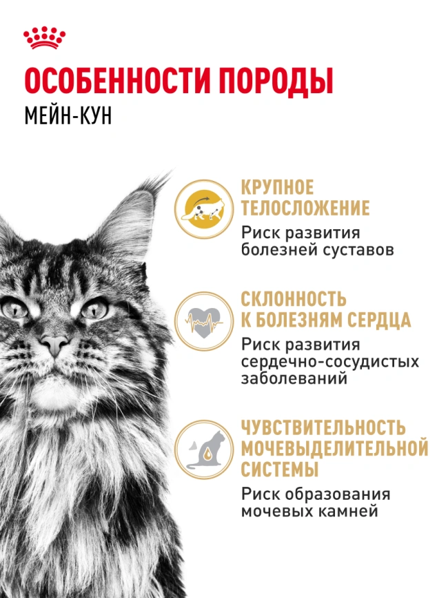Сухой корм Royal Canin Maine Coon для кошек, 4 кг фото 23