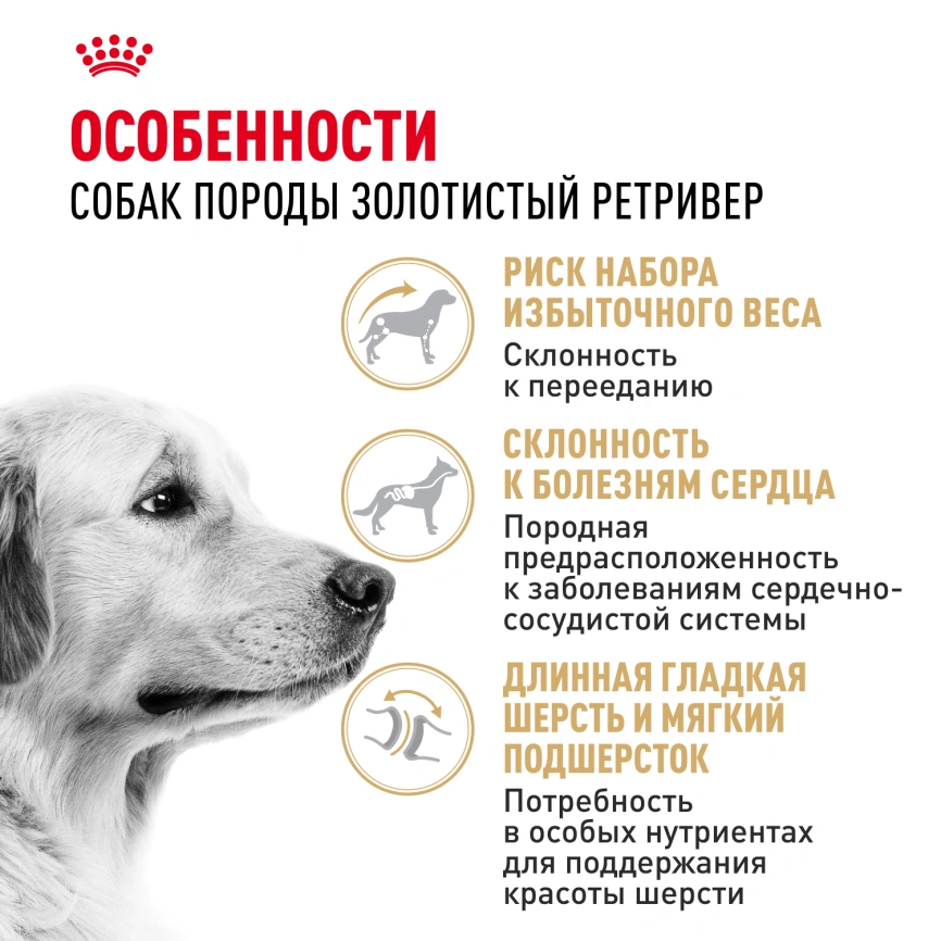Сухой корм Royal Canin Golden Retriever Adult для собак, 12 кг фото 2