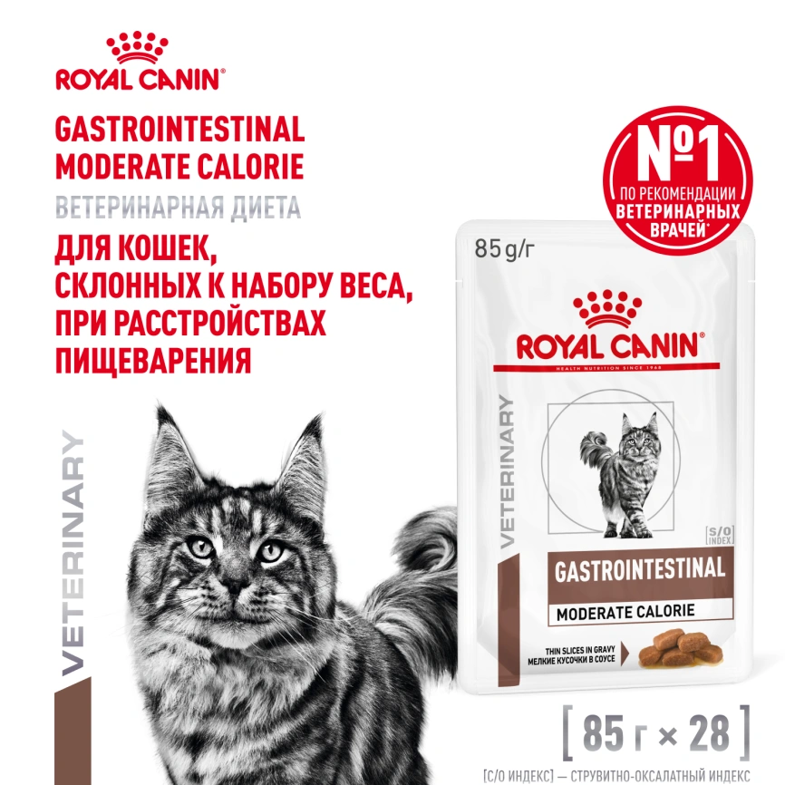 Влажный корм Royal Canin Gastrointestinal Moderate Calorie диетический для кошек при расстройствах пищеварения, склонных к набору веса, пауч, 85 г фото 13