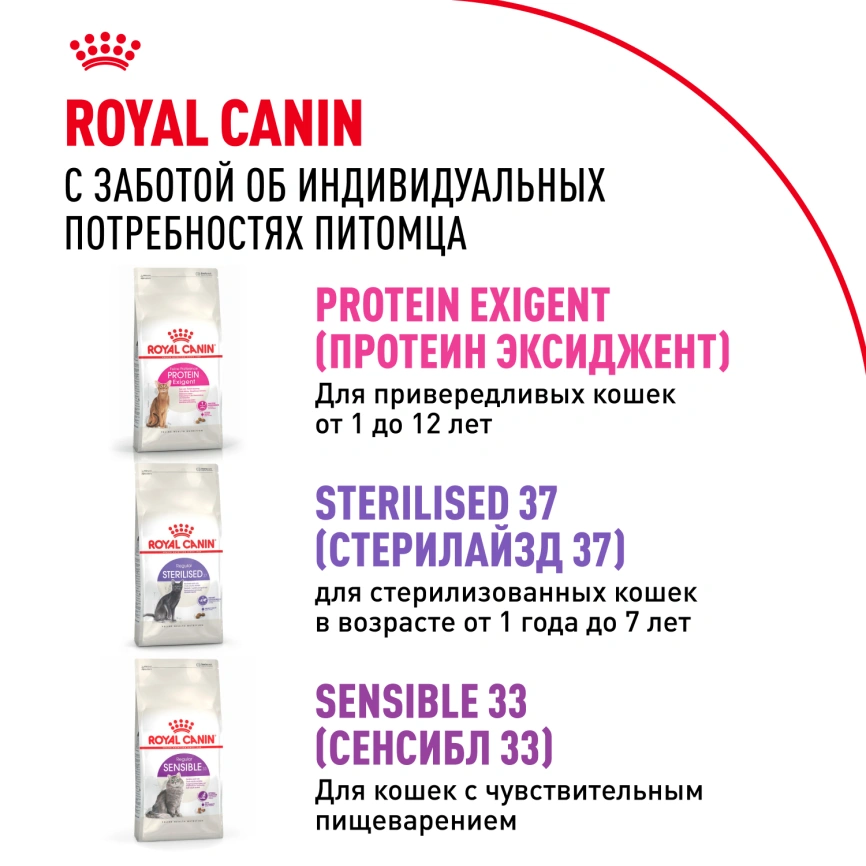Сухой корм Royal Canin Savour Exigent для кошек, 10 кг фото 10