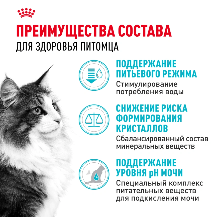 Сухой корм Royal Canin Urinary Care для кошек для профилактика МКБ, 400 г фото 3