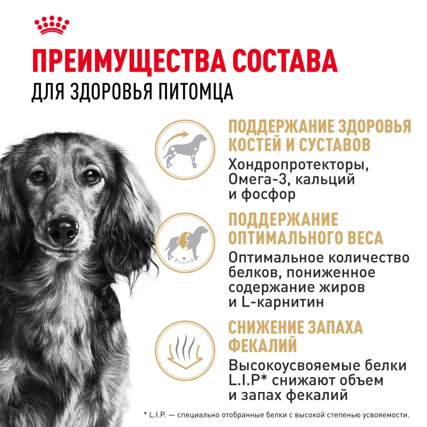 Сухой корм Royal Canin Dachshund Adult для собак породы такса, 7,5 кг фото 3