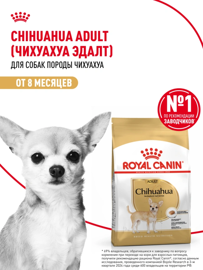 Сухой корм Royal Canin Cocker Adult для собак породы кокер-спаниель, 3 кг фото 13
