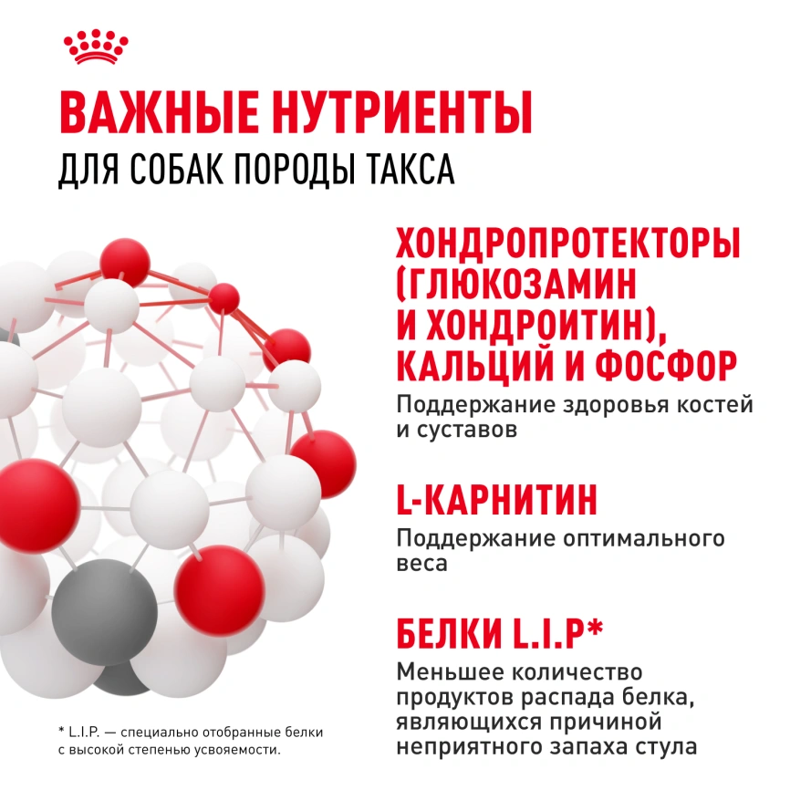 Сухой корм Royal Canin Dachshund Adult для собак породы такса, 1.5 кг фото 5