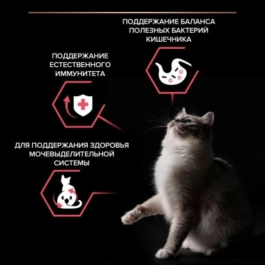 Сухой корм PRO PLAN Nature Elements Chicken для взрослых стерилизованных кошек и кастрированных котов, с высоким содержанием курицы, 7 кг фото 2