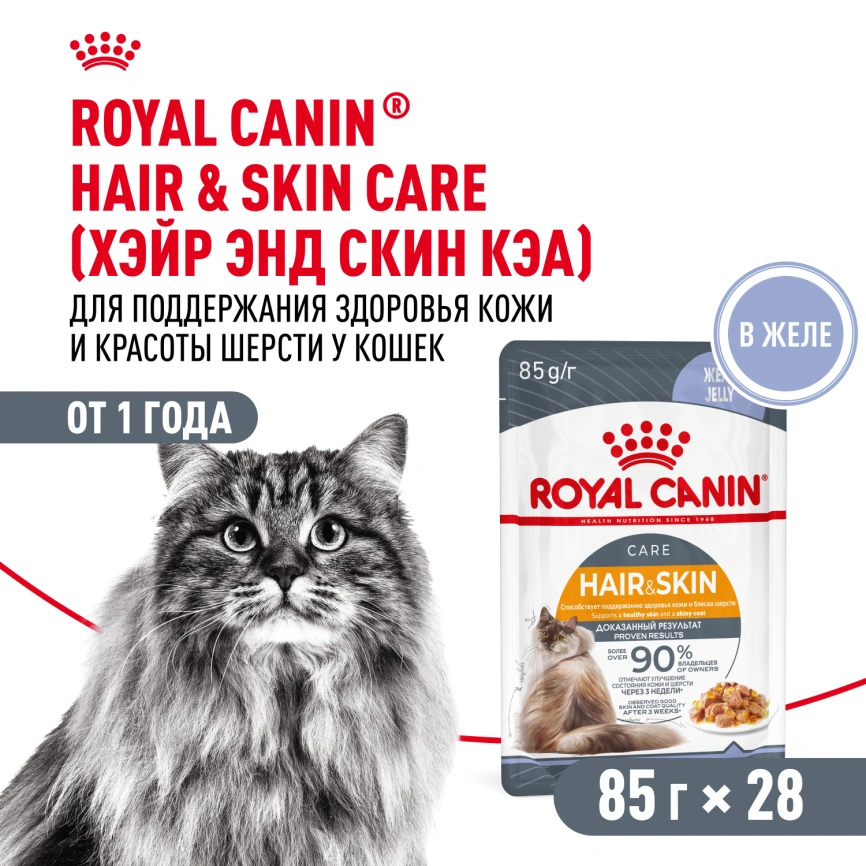 Влажный корм Royal Canin Hair & Skin Care в желе для взрослых кошек старше 1 года, пауч, 85 г фото 14