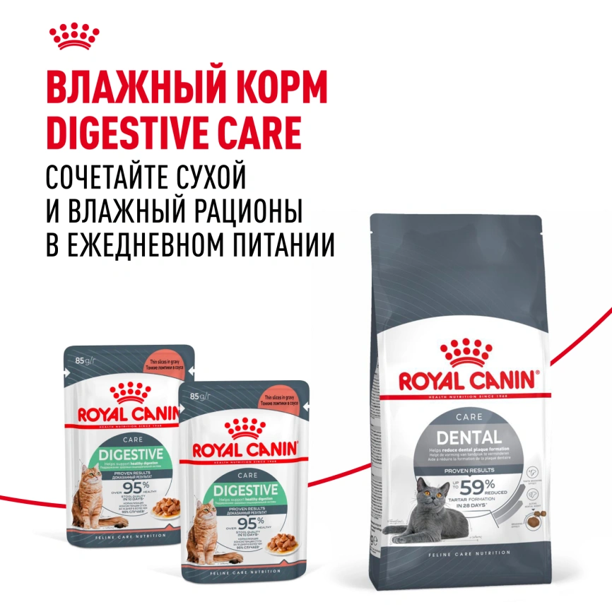 Сухой корм Royal Canin Dental Care для кошек, 400 г фото 8