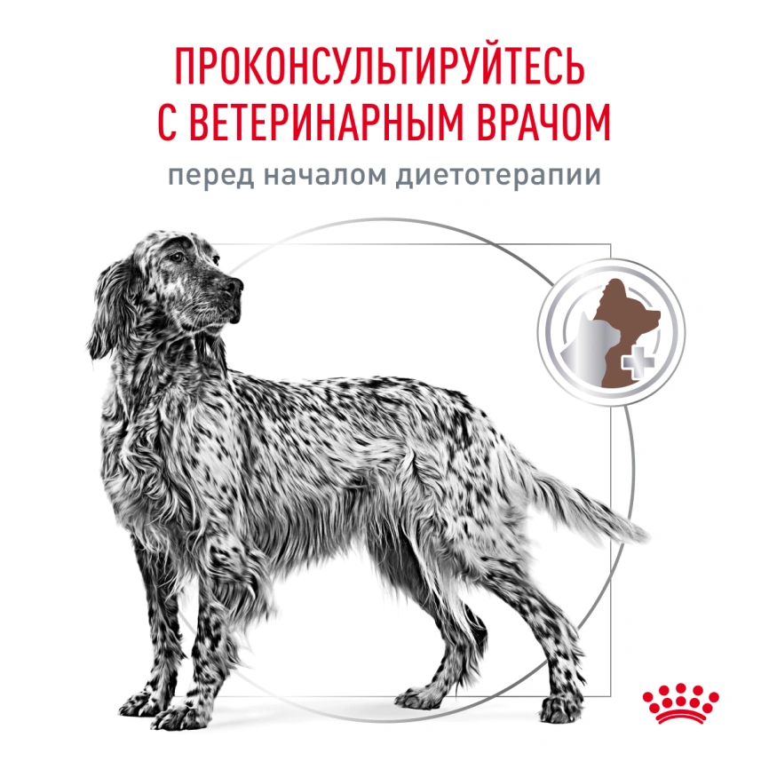 Сухой корм Royal Canin Gastrointestinal Low Fat для собак, 1 кг фото 7