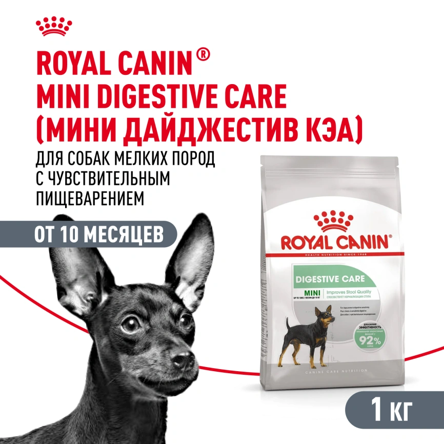 Сухой корм Royal Canin Mini Digestive Care для собак, 1 кг фото 1