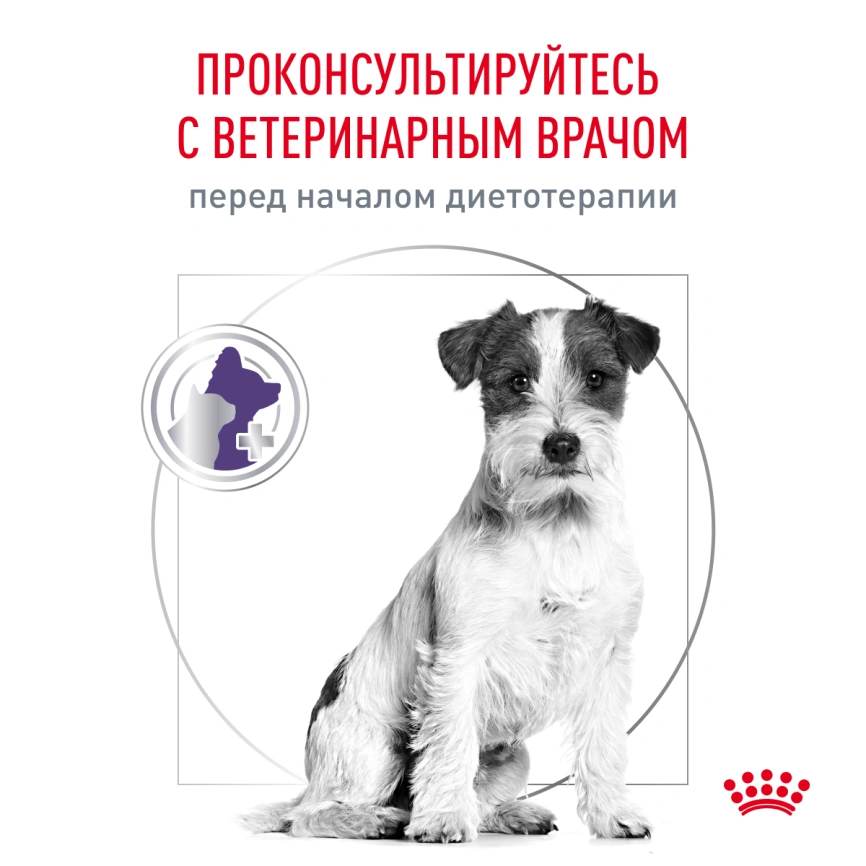 Сухой корм Royal Canin Neutered Adult Small Dogs для стерилизованных собак мелких пород, 3.5 кг фото 7