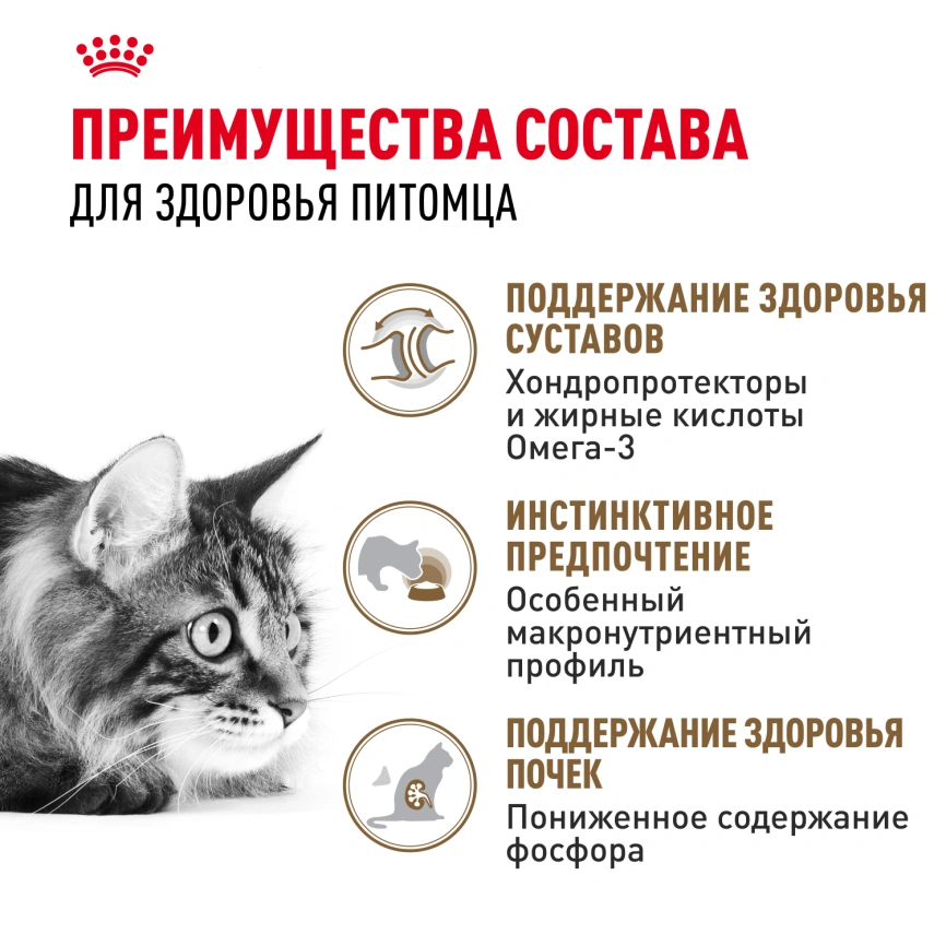 Влажный корм Royal Canin Ageing 12+ в желе для стареющих кошек старше 12 лет, пауч, 85 г фото 2