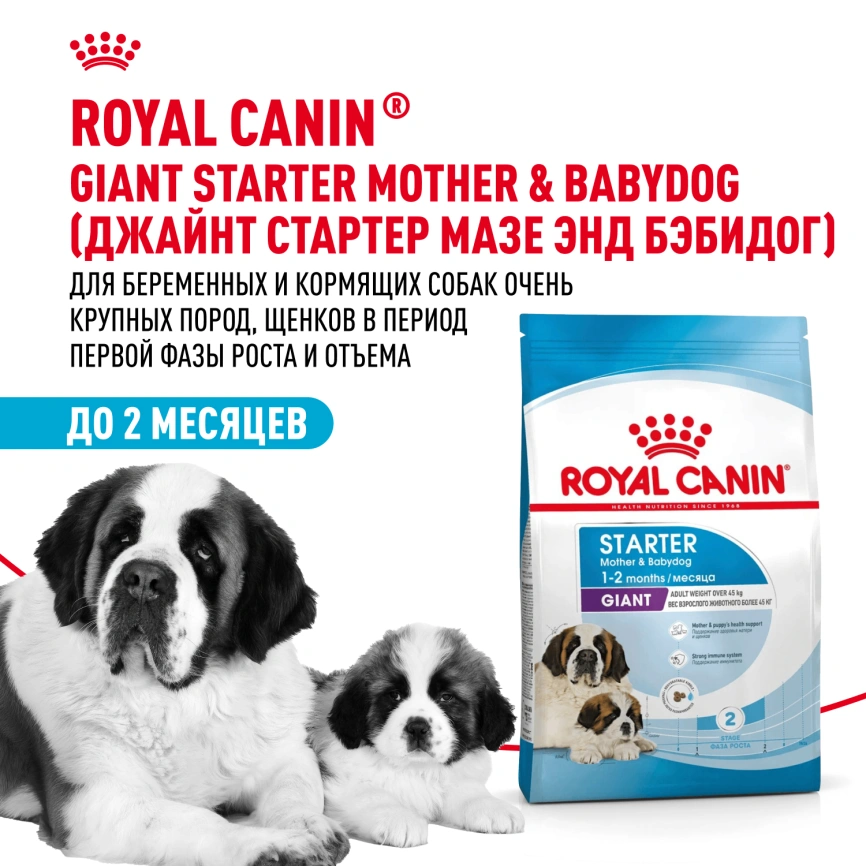 Сухой корм Royal Canin Giant Starter Mother & Babydog для щенков и собак, 4 кг фото 12