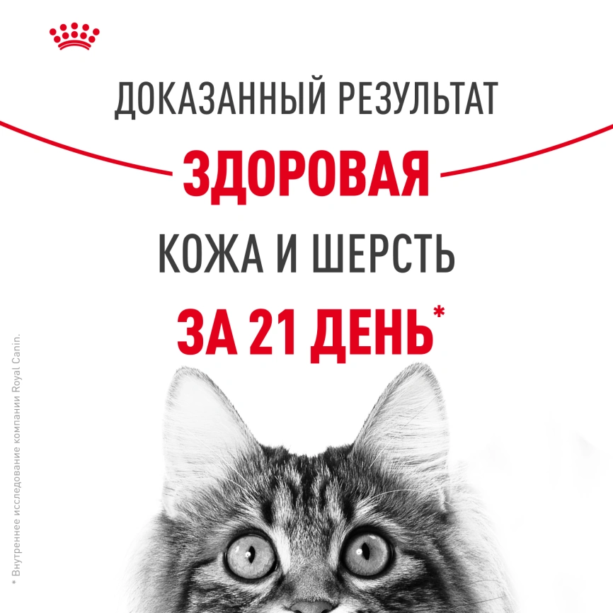 Сухой корм Royal Canin Hair & Skin Care для кошек, 2 кг фото 11