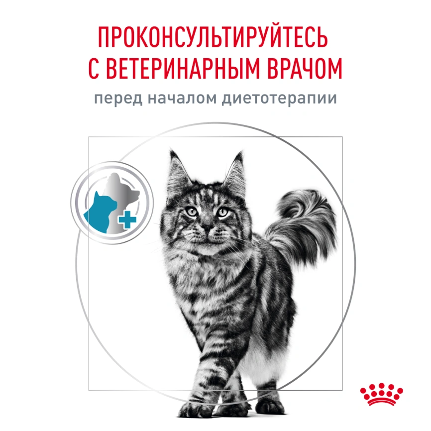Влажный корм Royal Canin Sensitivity Control в соусе для кошек при пищевой аллергии, с курицей и рисом, пауч, 85 г фото 8