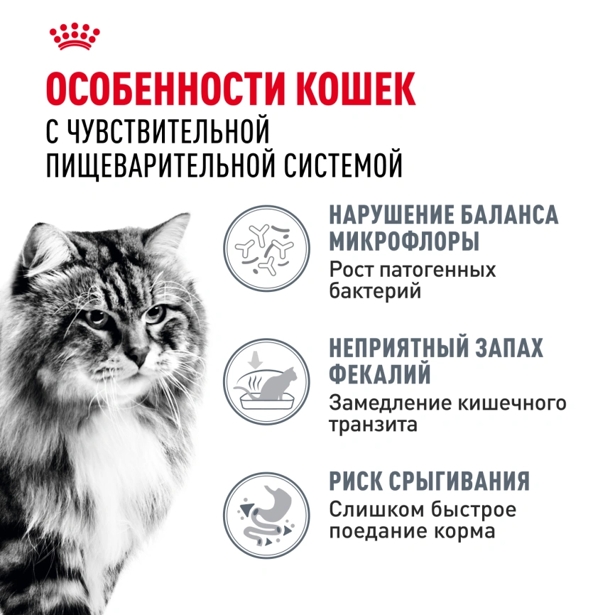 Сухой корм Royal Canin Digestive Care для кошек, 10 кг фото 2