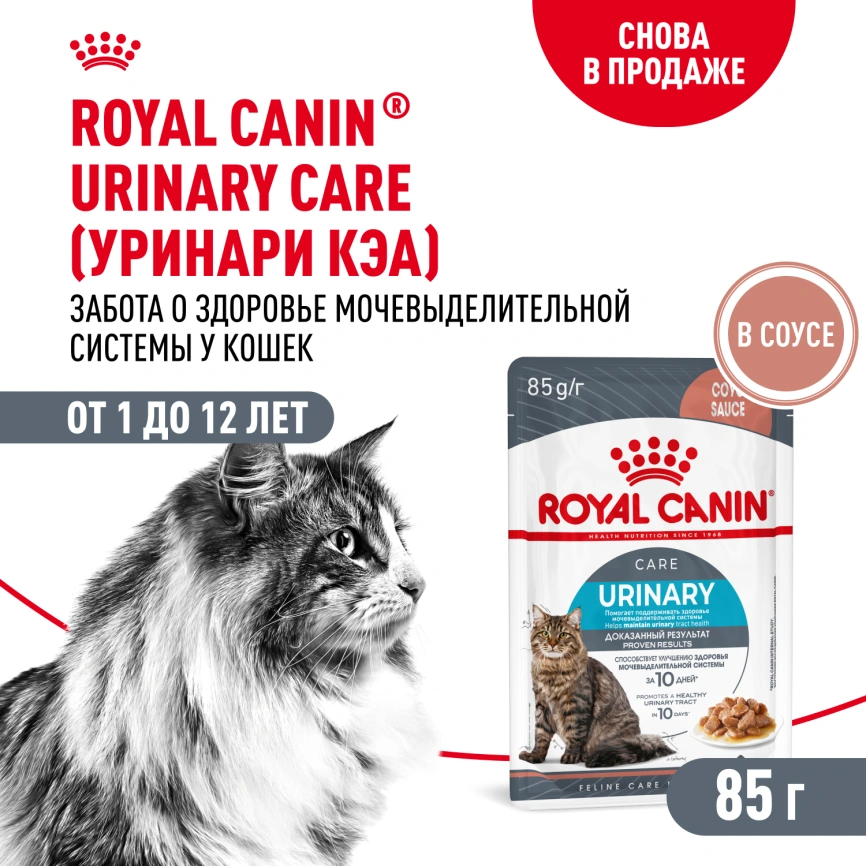 Влажный корм Royal Canin Urinary Care в соусе для кошек для поддержания здоровья мочевыделительной системы, пауч, 85 г фото 1
