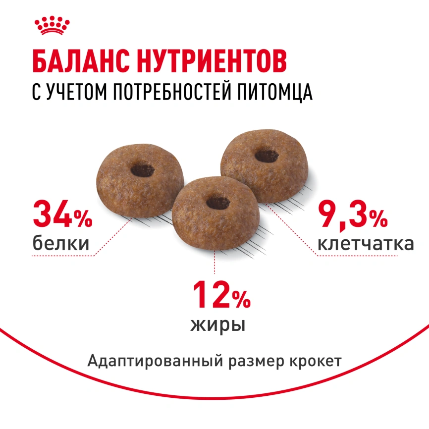 Сухой корм Royal Canin Appetite Control Care для кошек для контроля аппетита, 2 кг фото 4