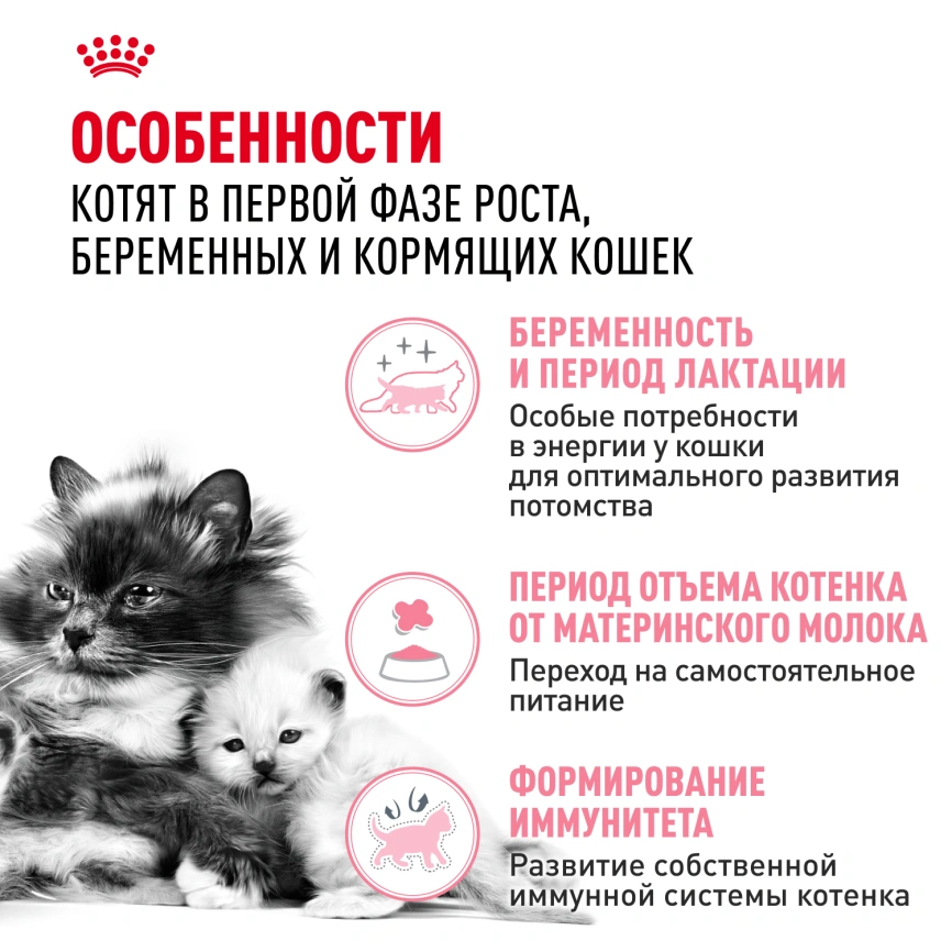 Сухой корм Royal Canin Mother & Babycat для котят, беременных и лактирующих кошек, 2 кг фото 2