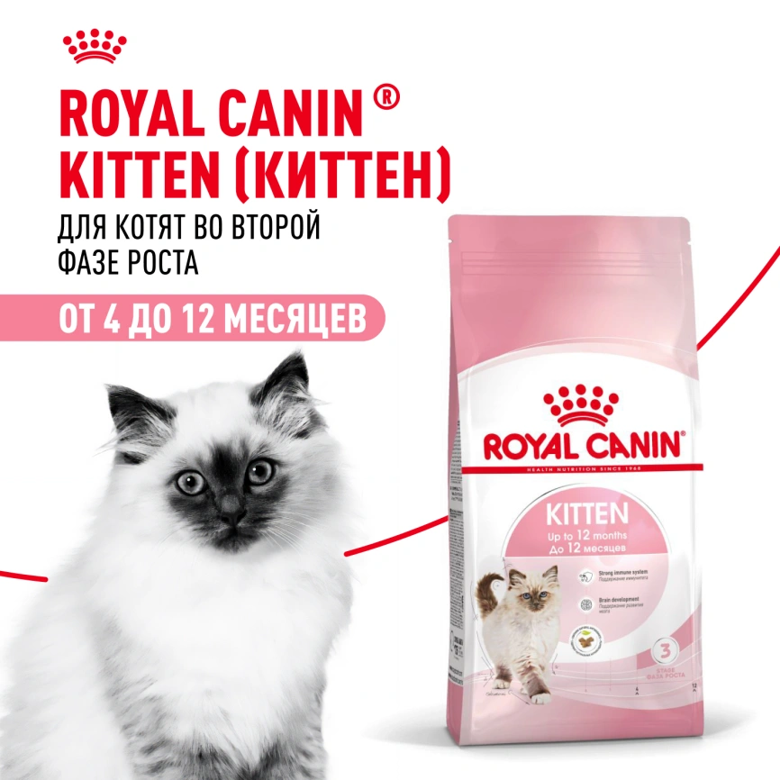 Сухой корм Royal Canin Kitten для котят, 10 кг фото 15